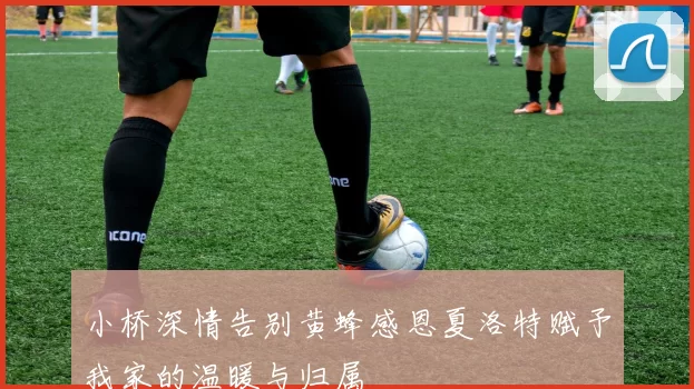 小桥深情告别黄蜂感恩夏洛特赋予我家的温暖与归属