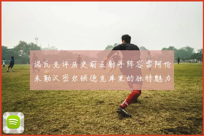 诺瓦克评历史前五射手阵容雷阿伦米勒汉密尔顿德克库里的独特魅力与影响