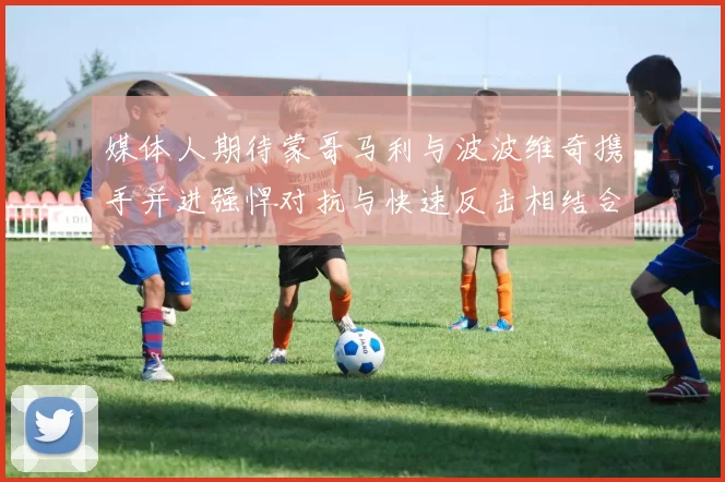 媒体人期待蒙哥马利与波波维奇携手并进强悍对抗与快速反击相结合