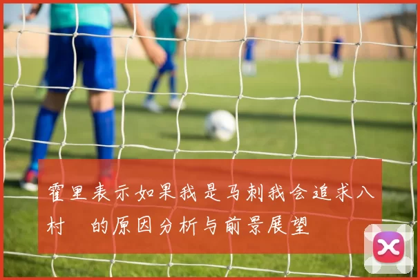 霍里表示如果我是马刺我会追求八村塁的原因分析与前景展望